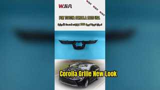 2020 Toyota Corolla Grille Replacement