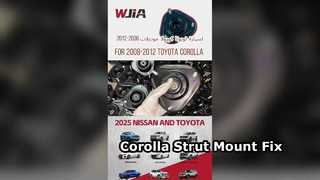Toyota Corolla Strut Mount 2007-2010