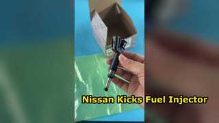 Nissan Kicks Fuel Injector 166005RL0A