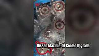 Nissan Maxima Engine Oil Cooler 21305 VJ61A